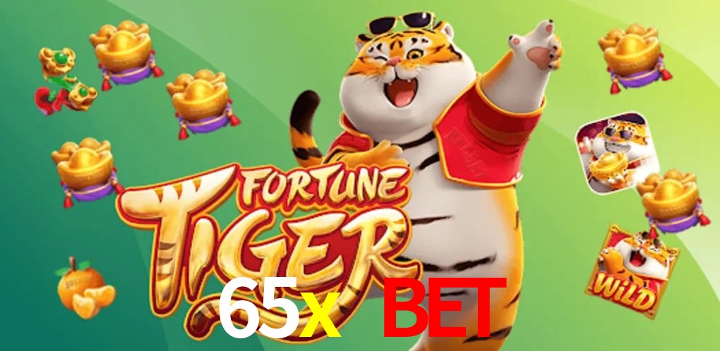 Experiência VIP 65x bet